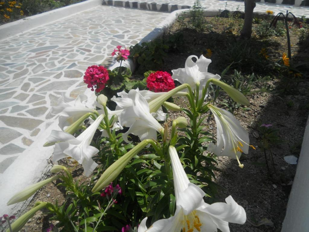 Villa Ostria Kamári Екстериор снимка